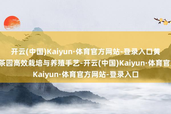 开云(中国)Kaiyun·体育官方网站-登录入口黄亚辉究诘员围绕茶园高效栽培与养殖手艺-开云(中国)Kaiyun·体育官方网站-登录入口