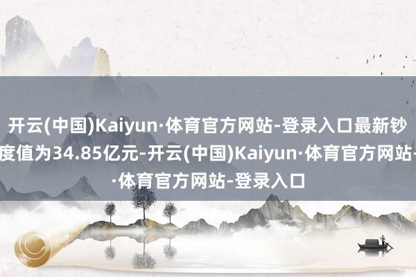 开云(中国)Kaiyun·体育官方网站-登录入口最新钞票净值测度值为34.85亿元-开云(中国)Kaiyun·体育官方网站-登录入口