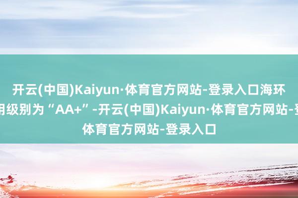 开云(中国)Kaiyun·体育官方网站-登录入口海环转债信用级别为“AA+”-开云(中国)Kaiyun·体育官方网站-登录入口