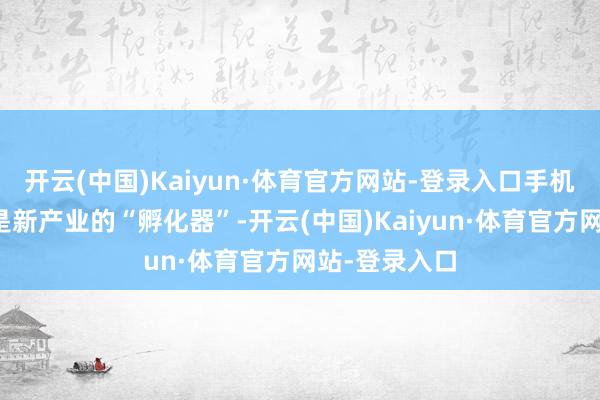 开云(中国)Kaiyun·体育官方网站-登录入口手机行业不错说是新产业的“孵化器”-开云(中国)Kaiyun·体育官方网站-登录入口