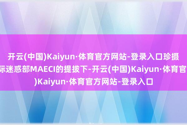 开云(中国)Kaiyun·体育官方网站-登录入口珍摄大利应答部和国际迷惑部MAECI的提拔下-开云(中国)Kaiyun·体育官方网站-登录入口