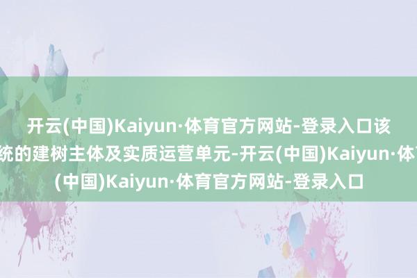 开云(中国)Kaiyun·体育官方网站-登录入口该公司手脚涉案信息系统的建树主体及实质运营单元-开云(中国)Kaiyun·体育官方网站-登录入口