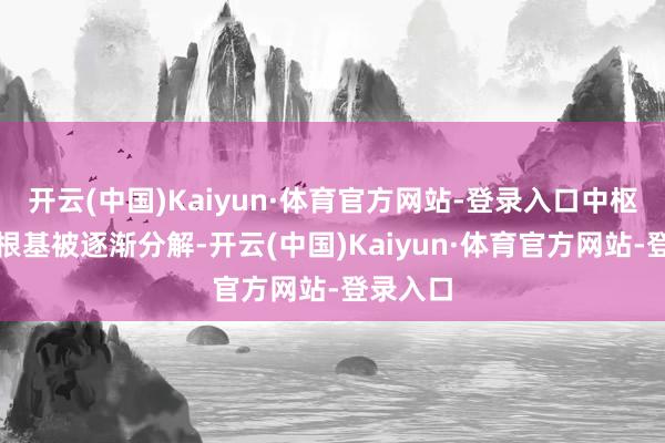 开云(中国)Kaiyun·体育官方网站-登录入口中枢是上风根基被逐渐分解-开云(中国)Kaiyun·体育官方网站-登录入口